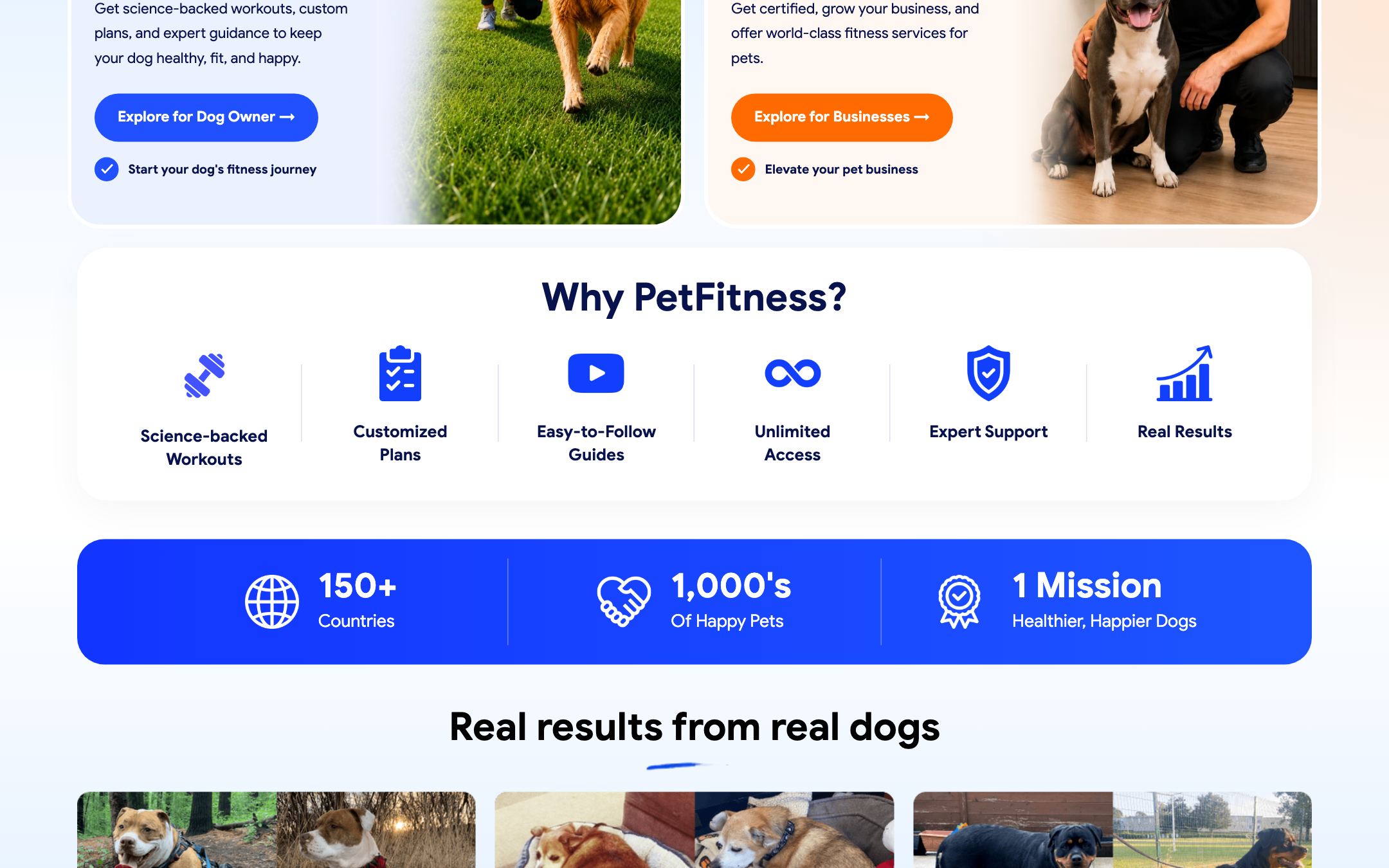 PetFitness — Inhaltsbereich