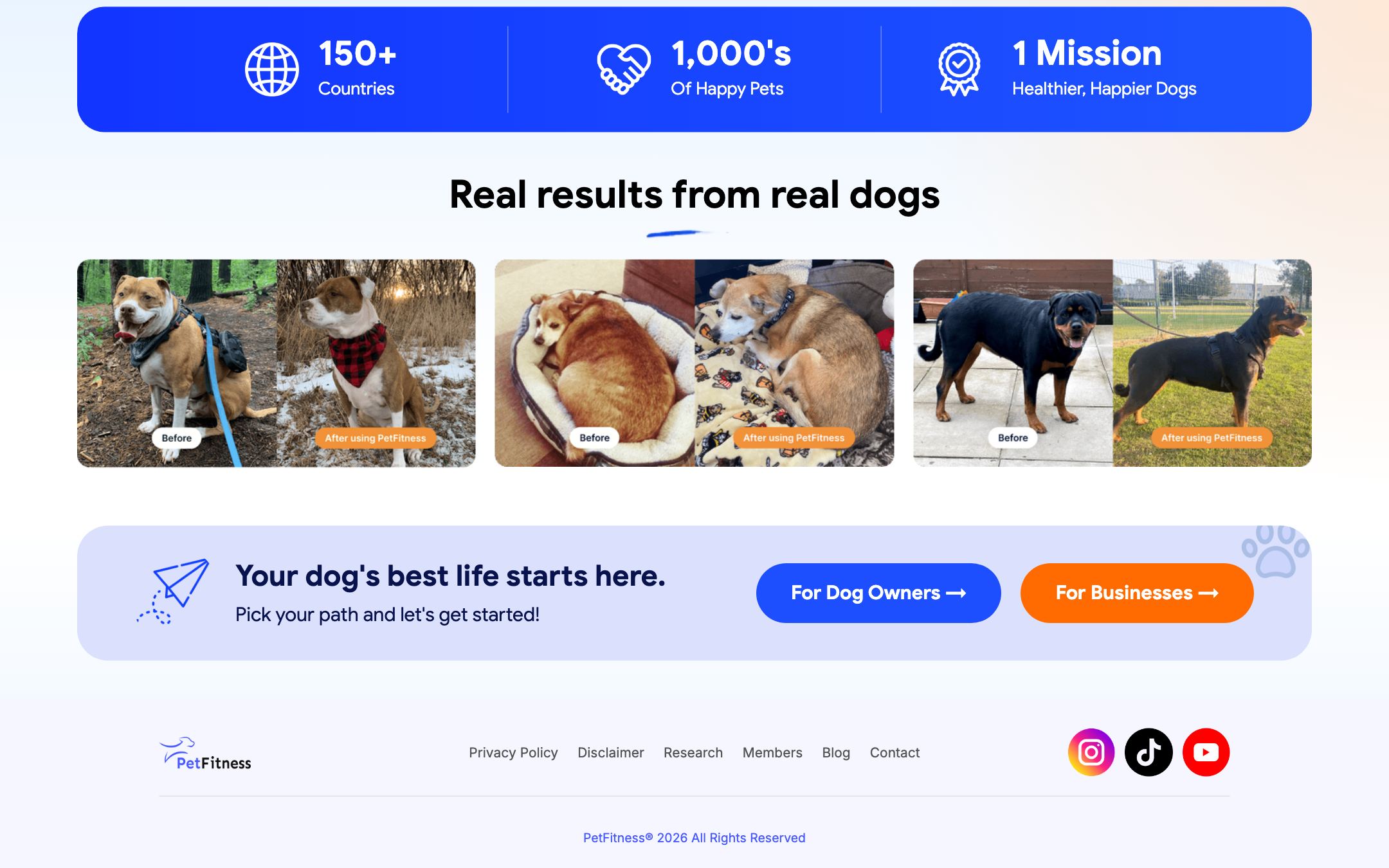 PetFitness — weitere Sektion